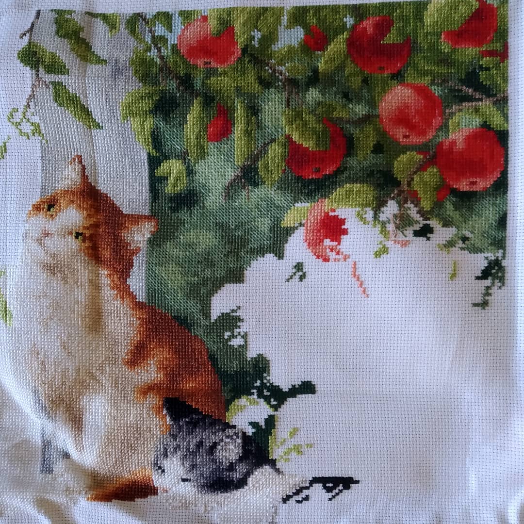 Изображение к отзыву @arrakurt №2