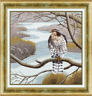 Вышивка ДЖ-046 Сокол
