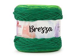 Пряжа Brezza (200) гр.